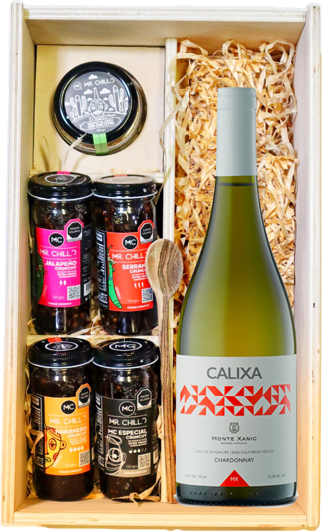 KIT VIÑEDON Monte Xanic